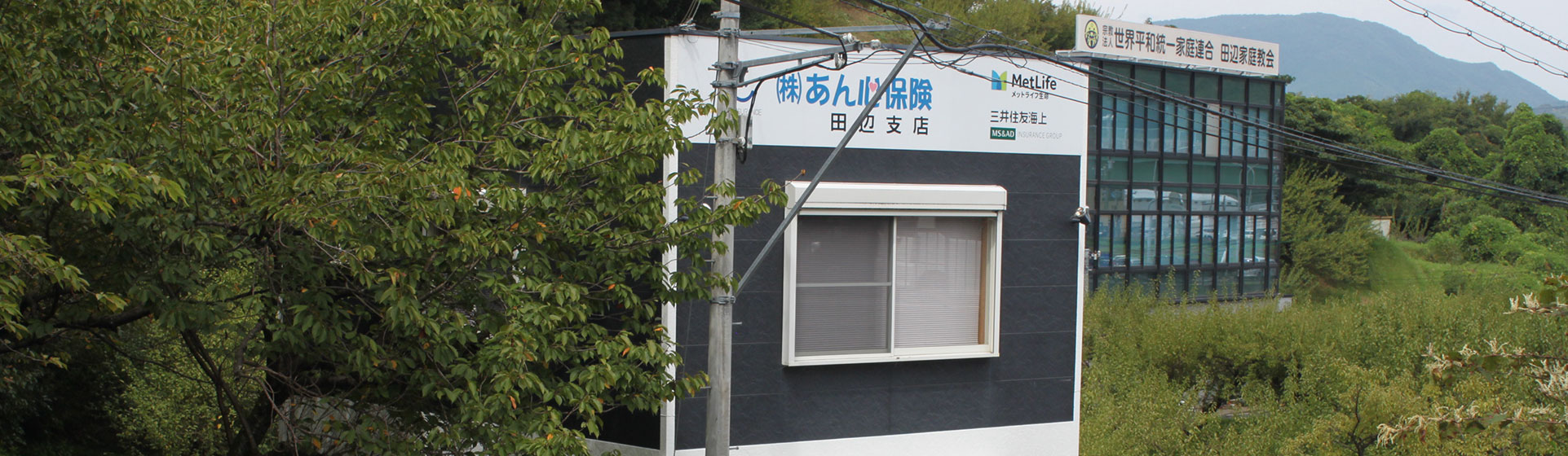 あん心保険